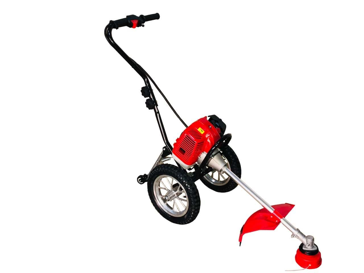 Einhell decespugliatore
